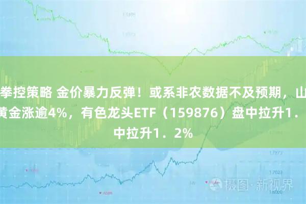 拳控策略 金价暴力反弹！或系非农数据不及预期，山东黄金涨逾4%，有色龙头ETF（159876）盘中拉升1．2%