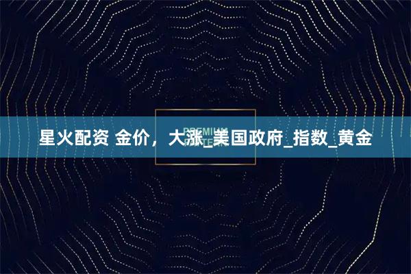 星火配资 金价，大涨_美国政府_指数_黄金