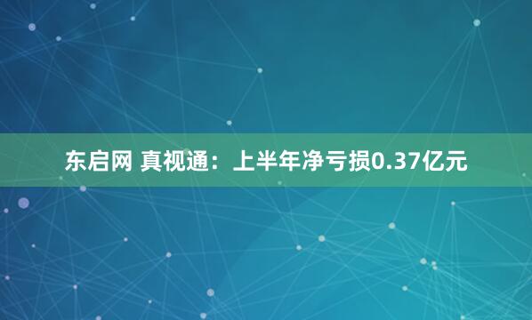 东启网 真视通：上半年净亏损0.37亿元