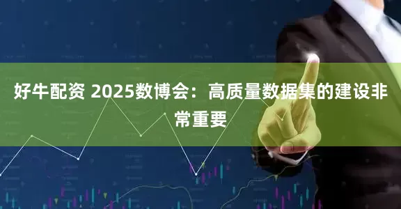 好牛配资 2025数博会：高质量数据集的建设非常重要